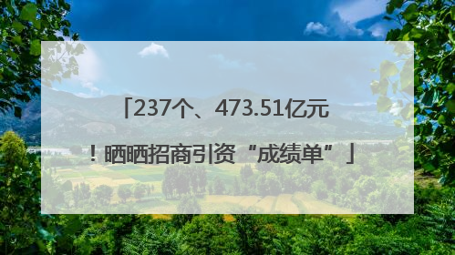237个、473.51亿元！晒晒招商引资“成绩单”