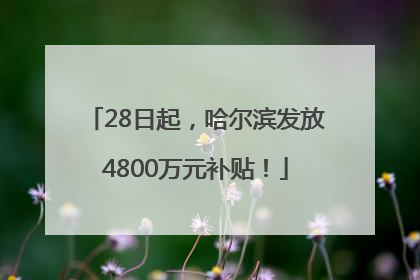 28日起，哈尔滨发放4800万元补贴！