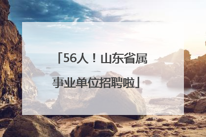 56人！山东省属事业单位招聘啦