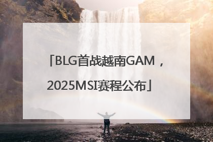 BLG首战越南GAM，2025MSI赛程公布