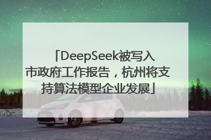 DeepSeek被写入市政府工作报告，杭州将支持算法模型企业发展