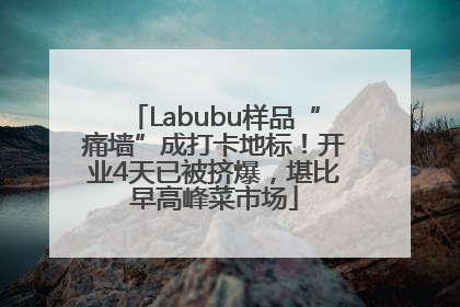 Labubu样品“痛墙”成打卡地标！开业4天已被挤爆，堪比早高峰菜市场