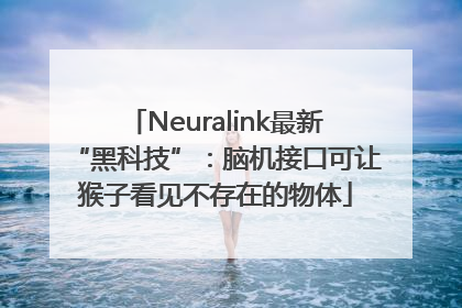 Neuralink最新“黑科技”：脑机接口可让猴子看见不存在的物体